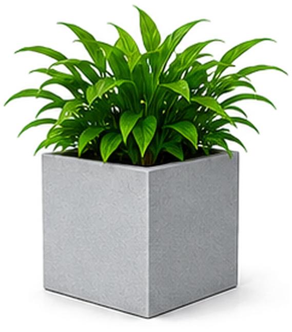 Maceta cubo con planta, composición ilustrativa de la línea Jardín