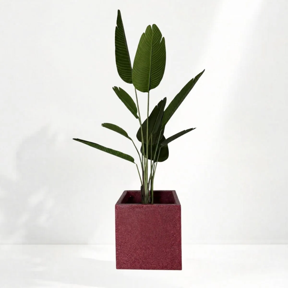 Maceta cubo en símil piedra rojo con una planta
